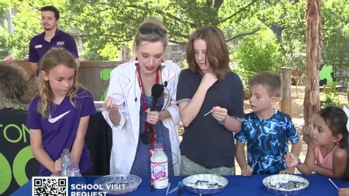 Fireworks Spectacular Featuring Magic Milk at the San Antonio Zoo! 🎆