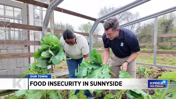 Our Town: Urban farmer fights to end fresh food crises, insecurities in Sunnyside community - Vimarsana News