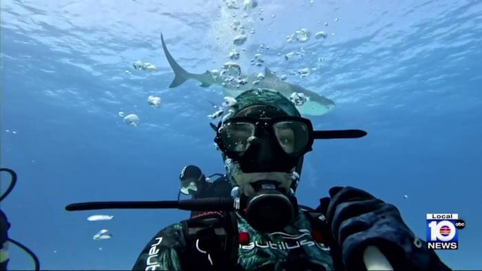 Local eco hero in new show aiming to change perception of sharks