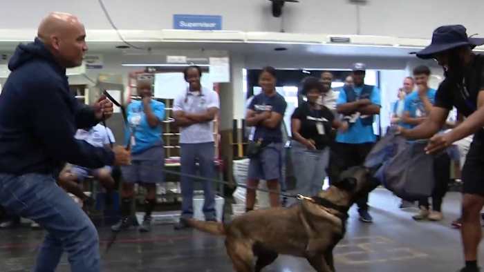 Local 4 News at 6 --  June 4, 2024