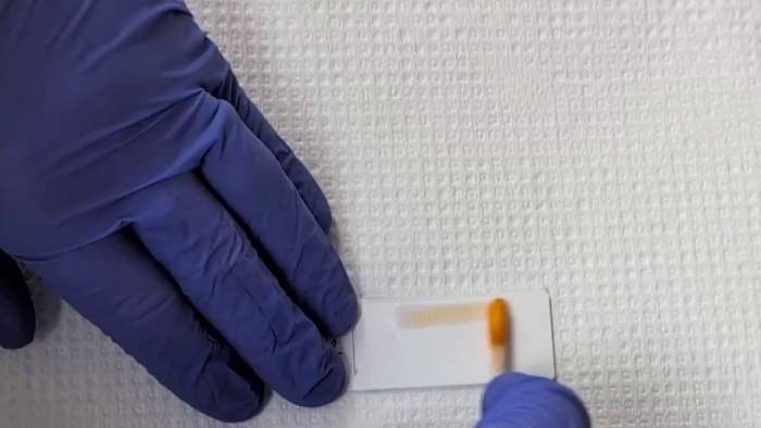 Consumer Reports: What home lead test kits can tell you and what they can’t