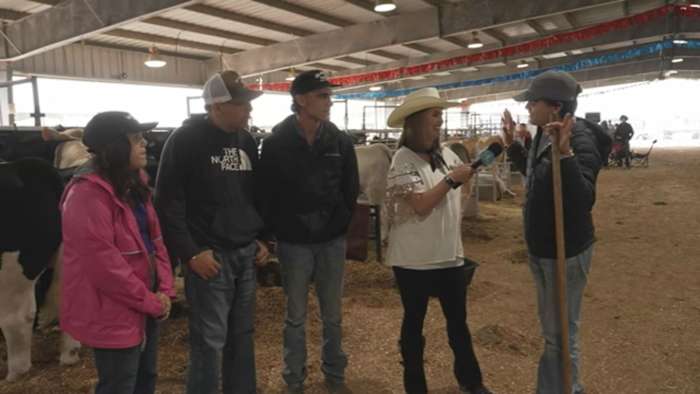 Music, food and rodeo fun for all at the Galveston County Fair & Rodeo