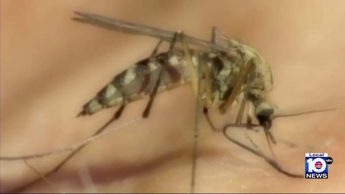 Miami-Dade tests new spraying truck to help control mosquitoes during peak season