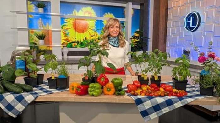 What to plant now in Houston What to plant now in Houston