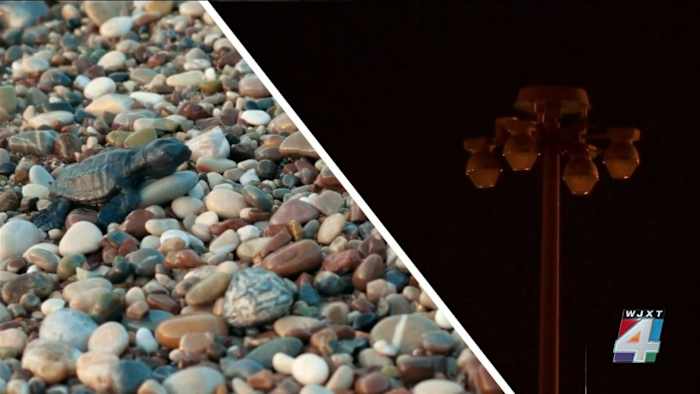 Brunswick’s exit 42 lights spark concern among sea turtle conservationists