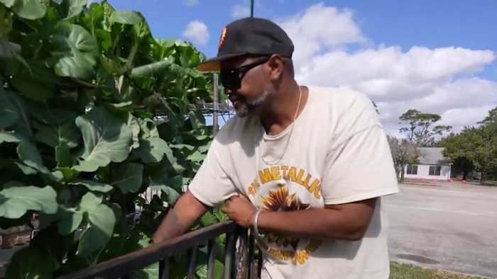 Our Town: Acres Homes revives it’s farming legacy with hydroponics