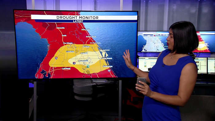 Nearly All of Florida Now Under Severe or Extreme Drought, Latest Monitor Shows