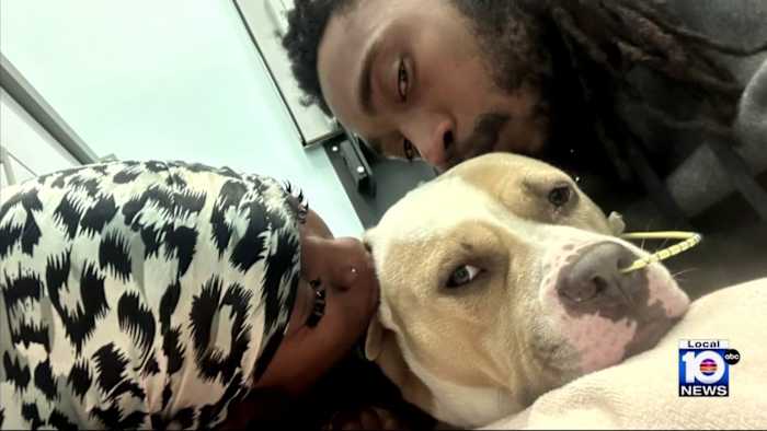 Couple grieves beloved dog shot in Miami Gardens