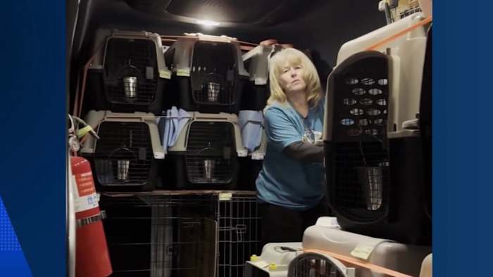 Petfinder change sparks concern from Houston-area rescues that rely on out-of-town adoptions