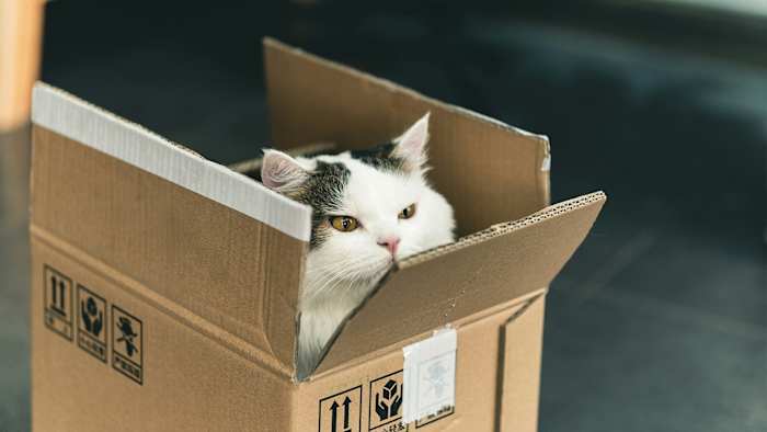 Online holiday shopping: What to watch for to stay safe and save money