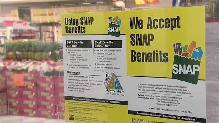 Who Qualifies for Emergency Food Stamps in Texas: Essential Guide