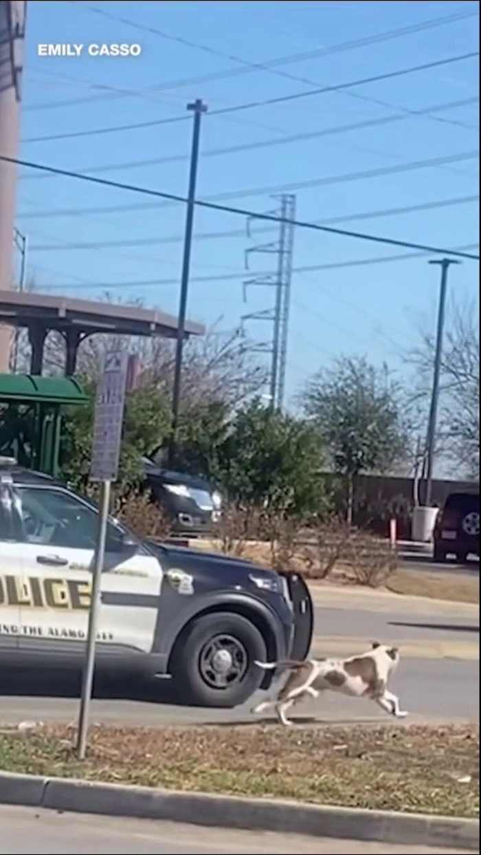 KSAT 12 Public File & AI in News Reporting | San Antonio News