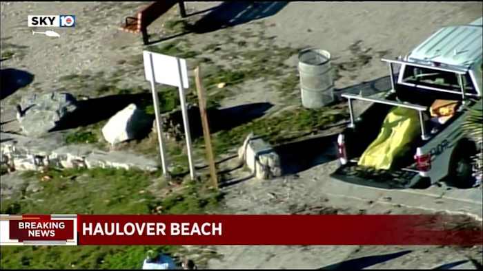 www.local10.com