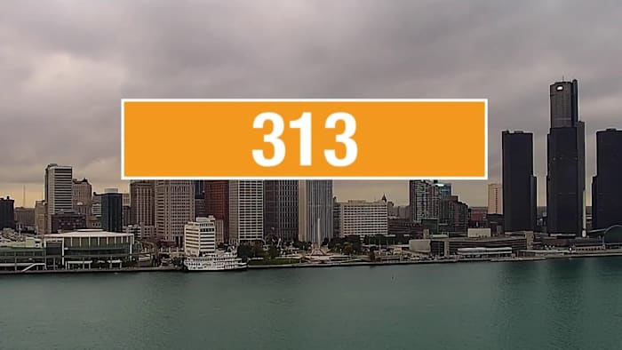 Not just '313': What to know about Detroit's new area code