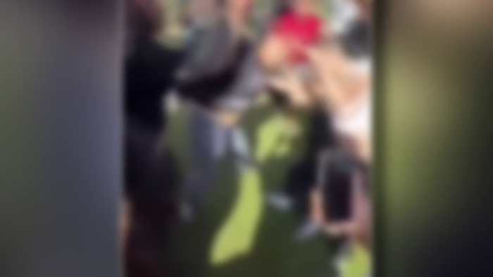 Video shows large fight during ‘teen takeover’ at Blue Cypress Park involving over 200 teens