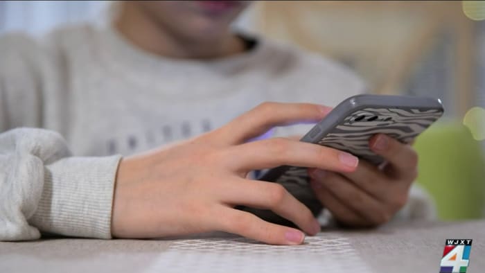 Cyber safety: Protect your child from predators online - Vimarsana News