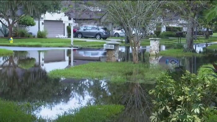 Longwood resident faces daily $250 fine until she fixes drainpipe issue