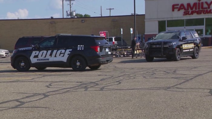 Michigan 3-year-old left in car while father shops dies