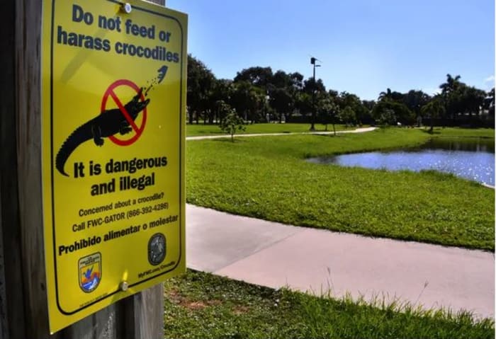 Warning signs posted in Satellite Beach after dog spotted in mouth of crocodile
