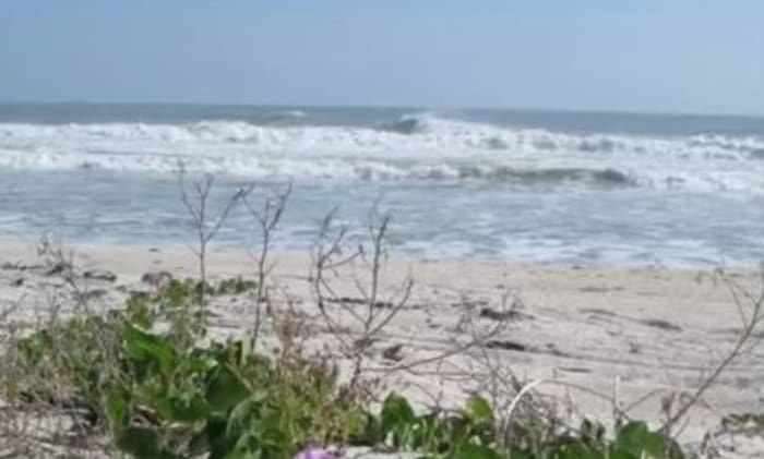 2 Florida nude beaches named among best in the world. Here's a