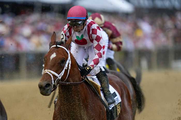 Journalism, Sovereignty Clash in 2025 Belmont Stakes Rematch