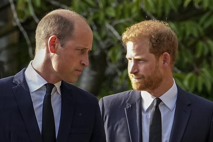 Prince Harry's visit to see King Charles III didn't bring reconciliation with William - Vimarsana News