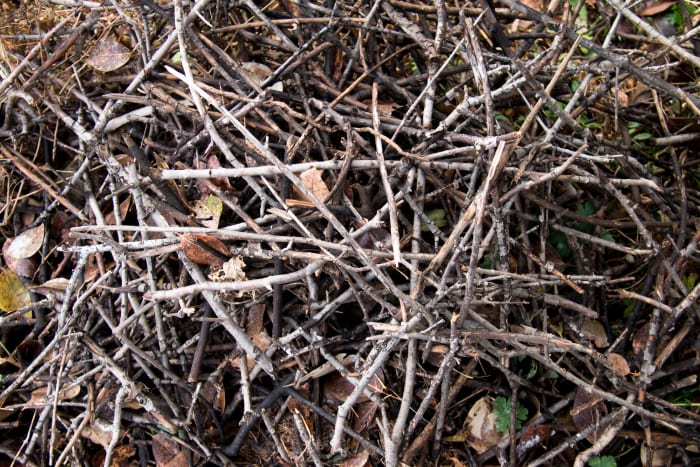City of Ann Arbor launches storm cleanup dashboard amid slow branch collection City of Ann Arbor launches storm cleanup dashboard amid slow branch collection