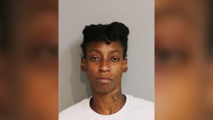 Kissimmee woman faces animal cruelty charges after dogs found emaciated, no access to food, water