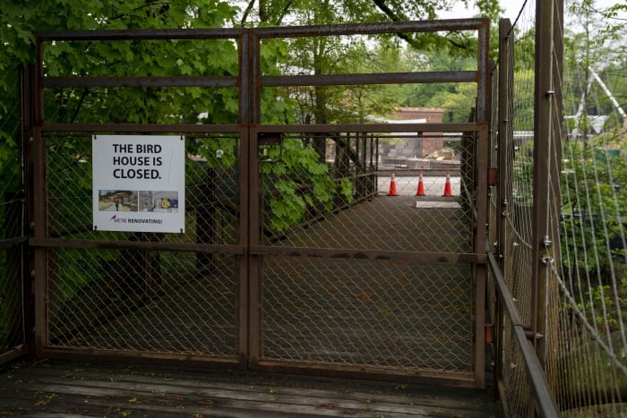 Fox chews by fence, kills 25 flamingos at Nationwide Zoo Fox chews by fence, kills 25 flamingos at Nationwide Zoo