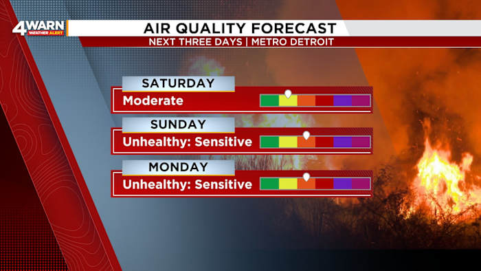 Air quality alert issued across Michigan for Sunday and Monday Air quality alert issued across Michigan for Sunday and Monday