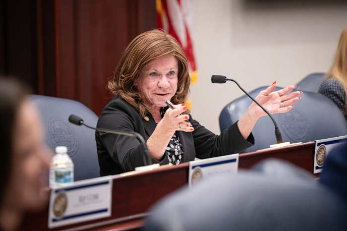 Judge rejects State Rep. Paula Stark's attempt to get on ballot