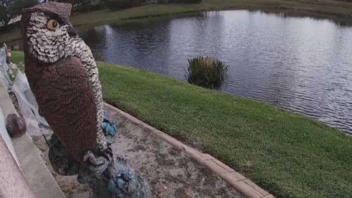 Volusia homeowners install piles as retention pond threatens foundations Volusia homeowners install piles as retention pond threatens foundations
