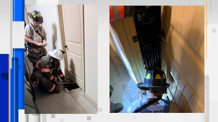 Virginia Firefighters Free Cat Trapped Under Garage Door