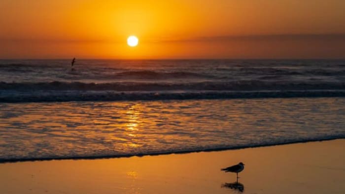 Comfortable mornings, warm afternoons. When’s next cooldown hit Central Florida?