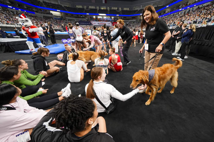 &lsquo;No egos,&rsquo; increased transparency and golden retrievers. How USA Gymnastics came back from the brink