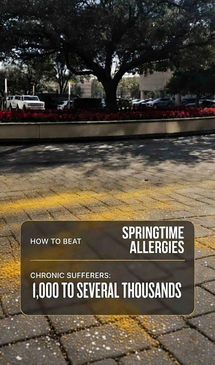 Oakpocalypse Hits Houston: How to Survive Spring Allergy Season Without Breaking the Bank.