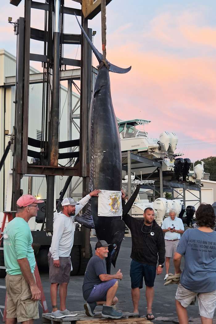 Historic 1,260-Pound Blue Marlin: East Coast Sets Record with Monumental Catch