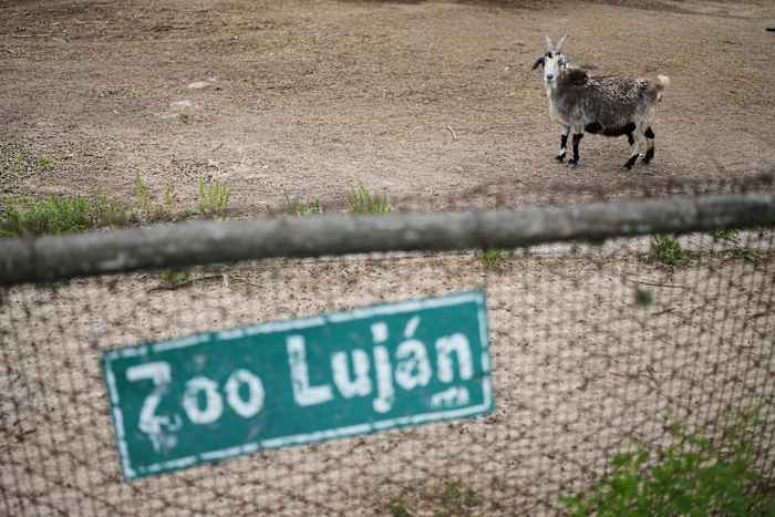 আর্জেন্টিনা তার কুখ্যাত চিড়িয়াখানা বন্ধ করার কয়েক বছর পর, অবশেষে আটকে পড়া প্রাণীদের উদ্ধার করা হচ্ছে আর্জেন্টিনা তার কুখ্যাত চিড়িয়াখানা বন্ধ করার কয়েক বছর পর, অবশেষে আটকে পড়া প্রাণীদের উদ্ধার করা হচ্ছে