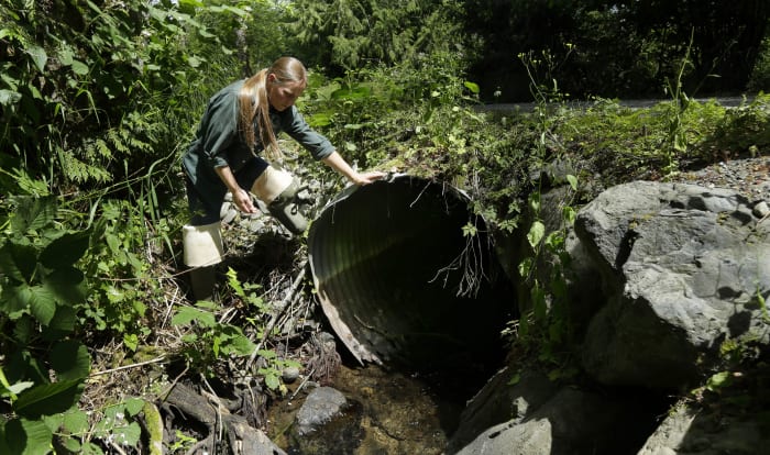 Federal grants will replace tunnels beneath roads that let water pass but not fish