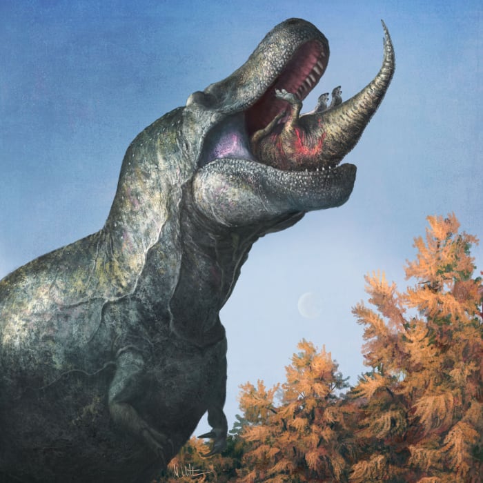 Has T. rex lost its bite? Menacing snarl may be wrong - Vimarsana News