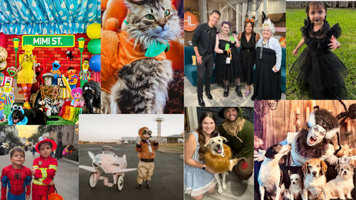 Get in the Halloween spirit! Share your costumes on Click2Pins