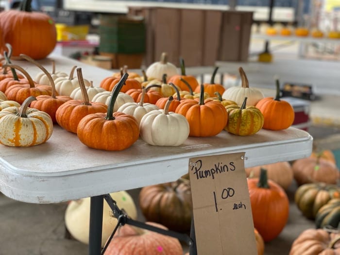 Trickortreat at Ann Arbor Farmers Market on Wednesday