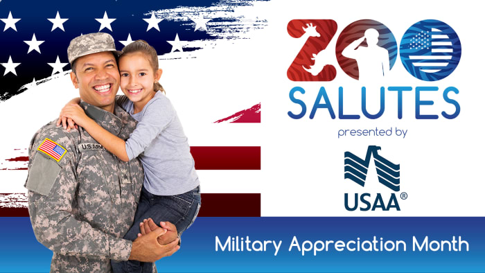 USAA