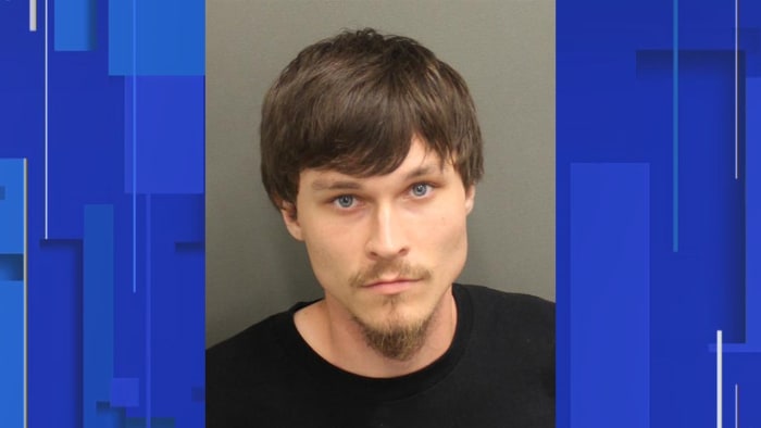 Man arrested, accused of molesting minors at Disney Springs