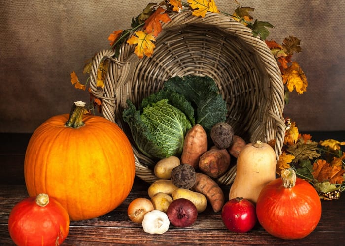 Thanksgiving week looks to be on the cooler side - Vimarsana News