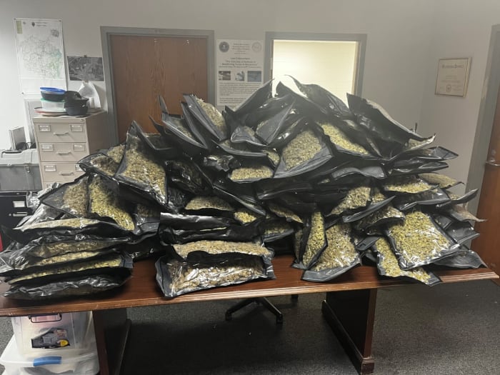 237 pounds of illegal marijuana seized in Florida, Georgia traffic stops