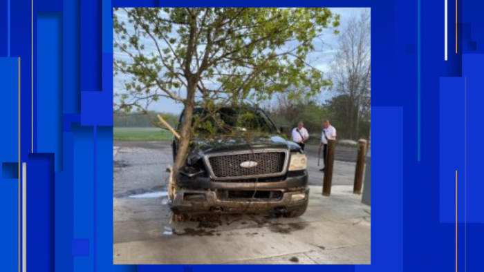 Michigan teen drives to gas station with tree lodged in pickup truck – WDIV ClickOnDetroit