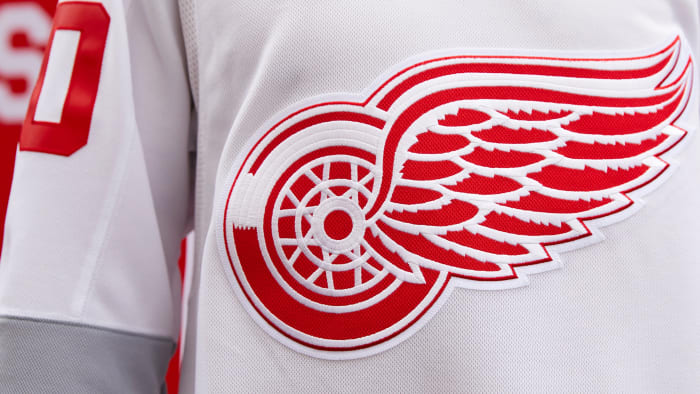 Red Wings] The Wings' reverse retro full uniform debuted tonight. : r/hockey