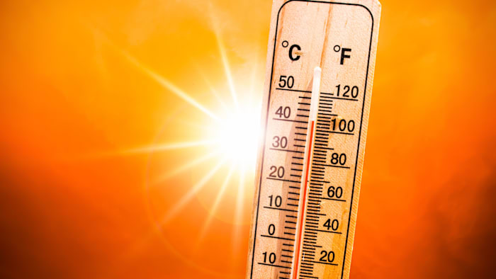 Central Florida is having one of its hottest summers on record