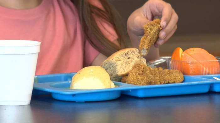 Seminole County school district explains why it can't offer free meals to all students - Vimarsana News